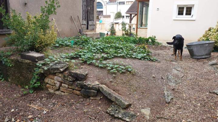 Avant-projet piscine Dijon