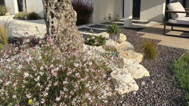 Entretien de jardin Dijon