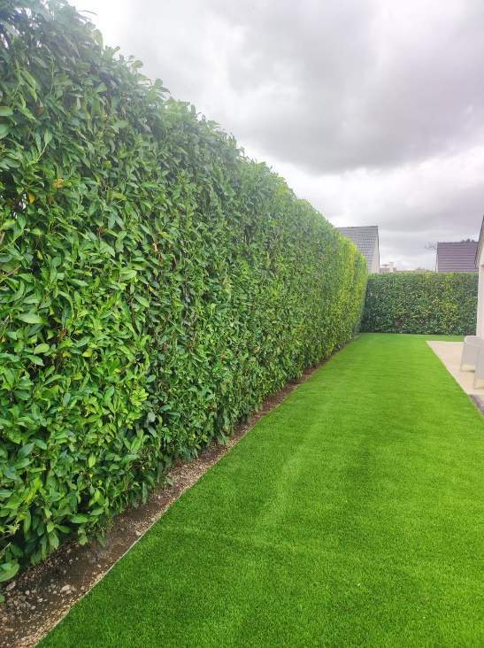 Travaux d'entretien de jardin Dijon