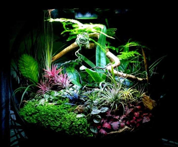 Installation de jeux d'eau Dijon