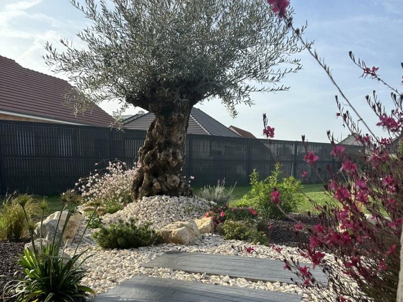 Travaux aménagement jardin Dijon