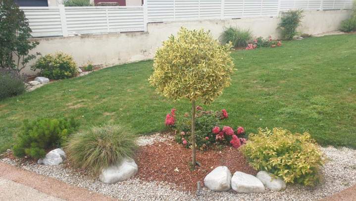 Entretien de jardin Dijon