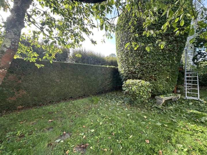 Entretien de haie Dijon