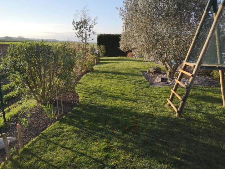 Entretien de gazon Dijon